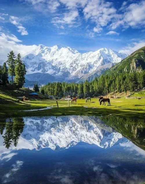 Fairy Meadows